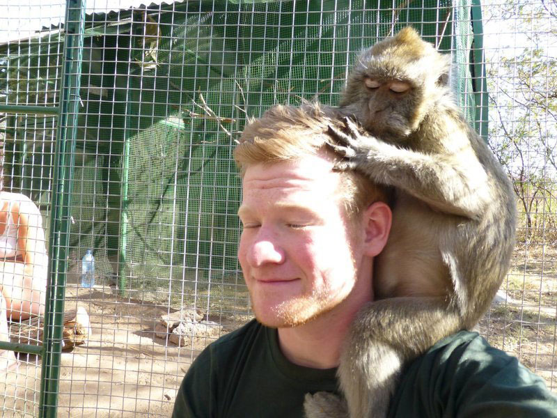 Volunteer in Colobus Monkeys Trust