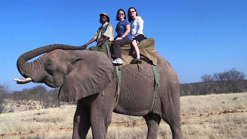 Tourists riding on an elephant 